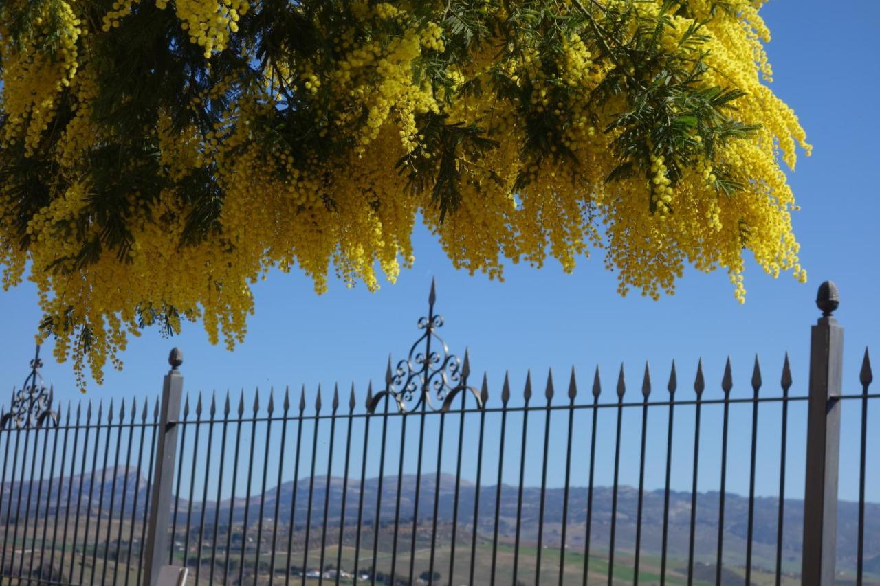 La Escondida Ronda, B&B Εξωτερικό φωτογραφία